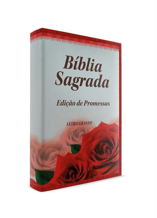 Lar e Lazer - Bíblia Sagrada Gold Selection