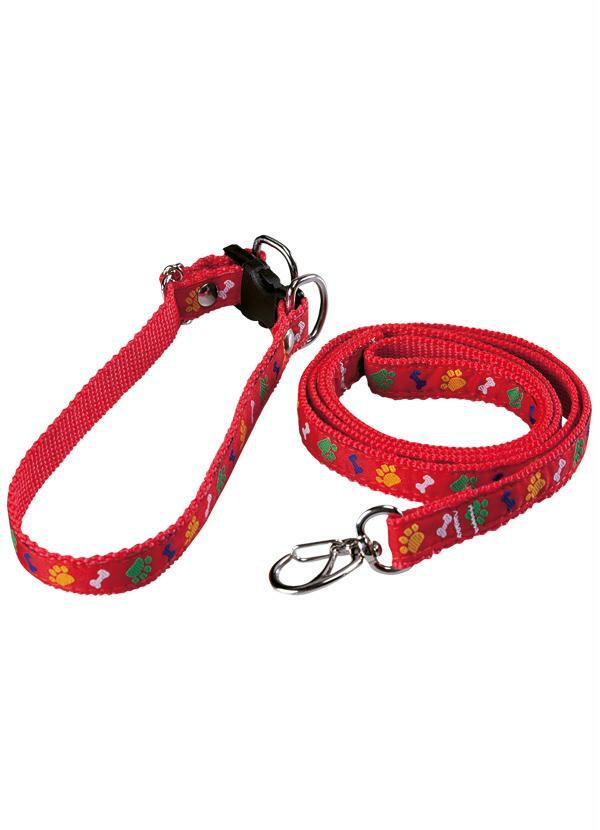 Lar e Lazer - Coleira com Guia para Cães