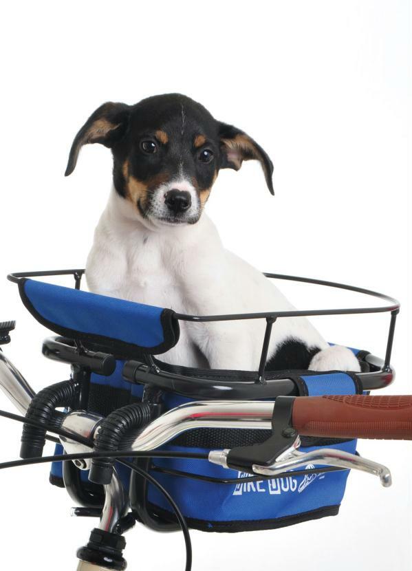 Lar e Lazer - Bike Dog Azul
