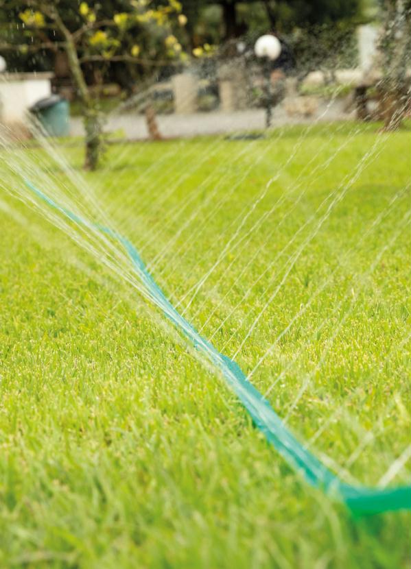 Mundo Lar - Mangueira Jardim Verde 7,5 Metros 2