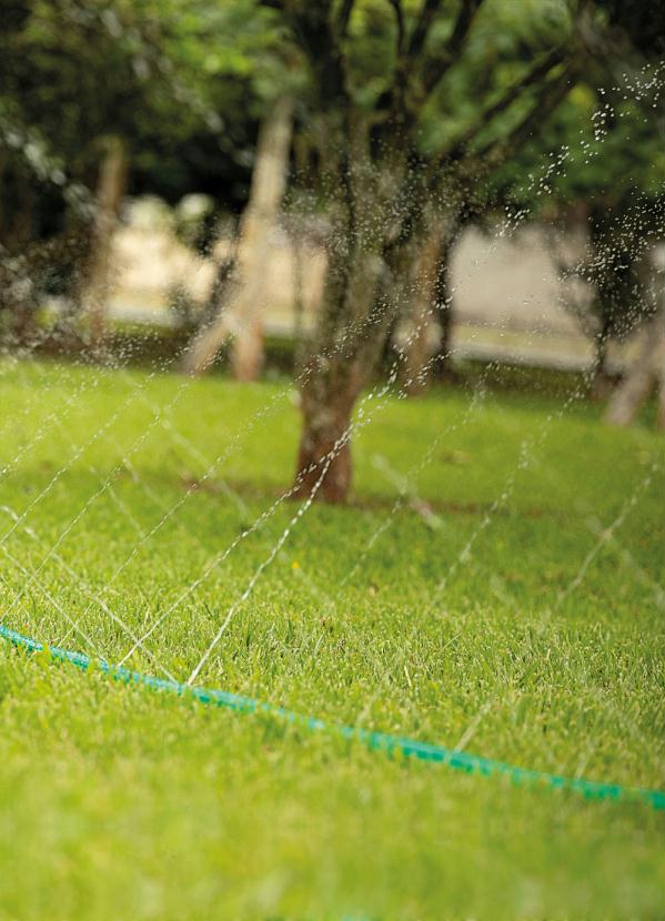 Mundo Lar - Mangueira Jardim Verde 7,5 Metros 3