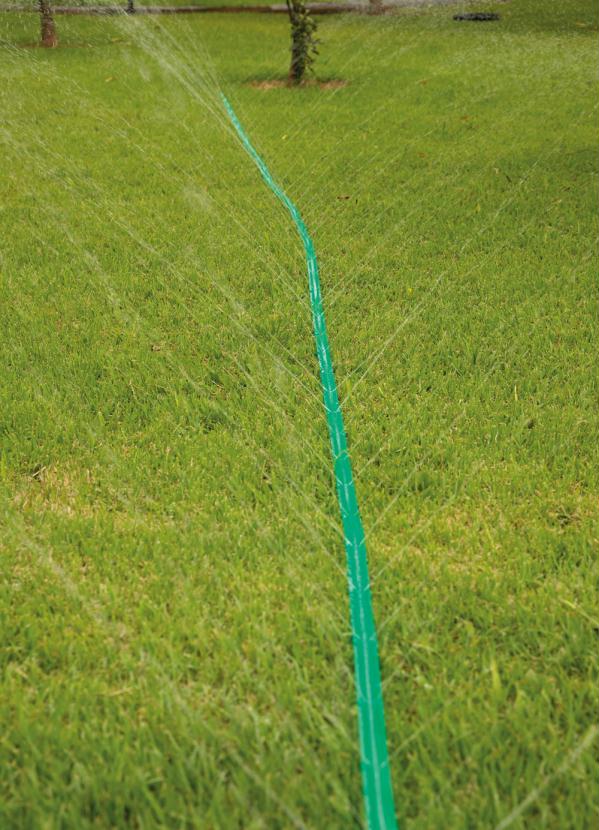 Mundo Lar - Mangueira Jardim Verde 7,5 Metros 4