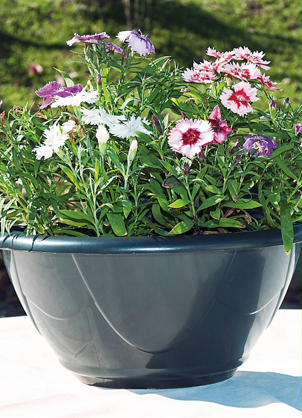 Lar e Lazer - Vaso de Parede Nº2 Preto