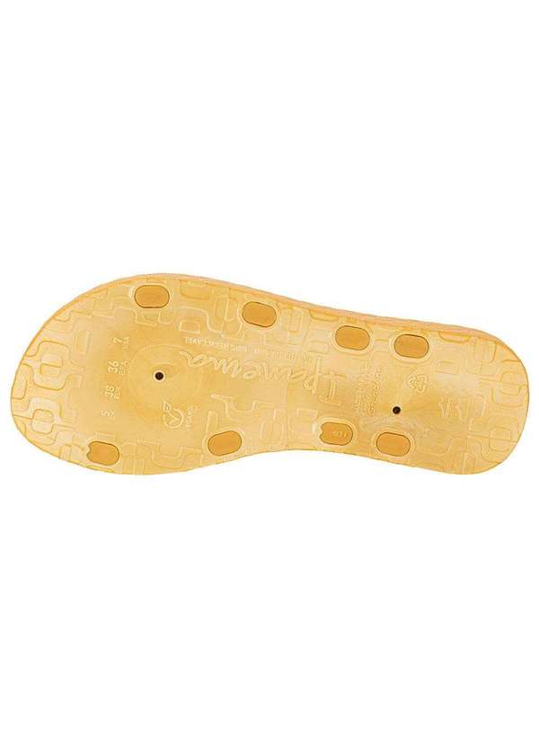 Ipanema - Sandália Feminina Flat Diversa Ipanema 27238 - Amarelo 4