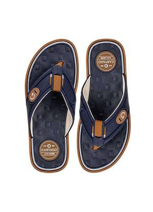 Chinelo Masculino Lyon Iv Cartago 12531 - CARTAGO