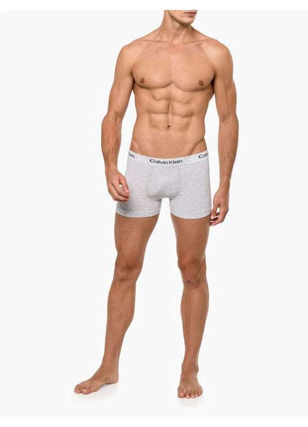 Calvin Klein Jeans - Kit 2 Cuecas Masculinas Seamless Viscose Calvin Klein Underwear - Cinza