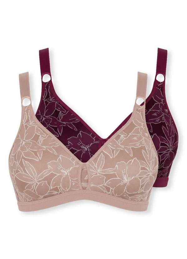 Demillus - Kit com 2 Sutiãs Sustentação Olimpo Anizete Demillus 61741 Taça B Bege-Rosado-Vinho-Barolo