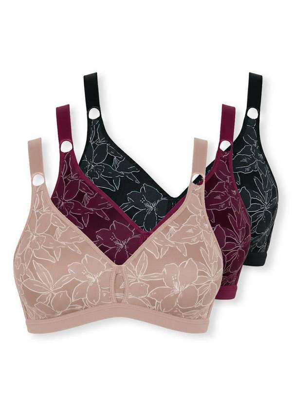 Demillus - Kit com 3 Sutiãs Sustentação Olimpo Anizete Demillus 61741 Taça B Bege-Rosado-Vinho-Barolo-Preto