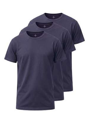 Kit com 3 Camisetas Masculina Hering 0299 - HERING