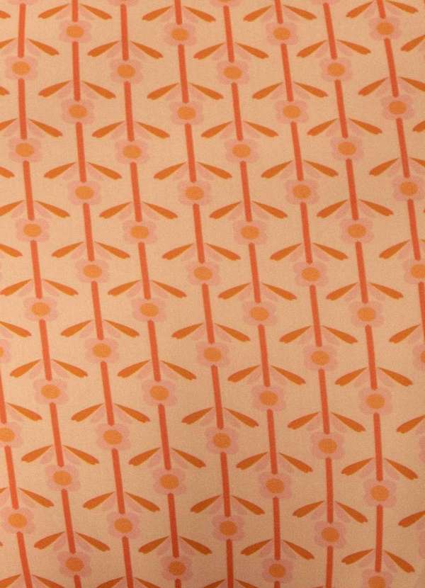 Bold - Top Sutiã Alças Largas Softskin Plus Size Rosa 5