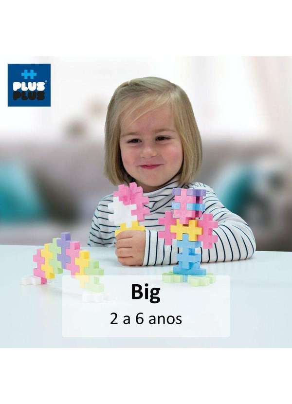 Pecinhas de Montar Tigre 100 Peças Plus Plus Mini Basic Tube - Bambinno  Brinquedos