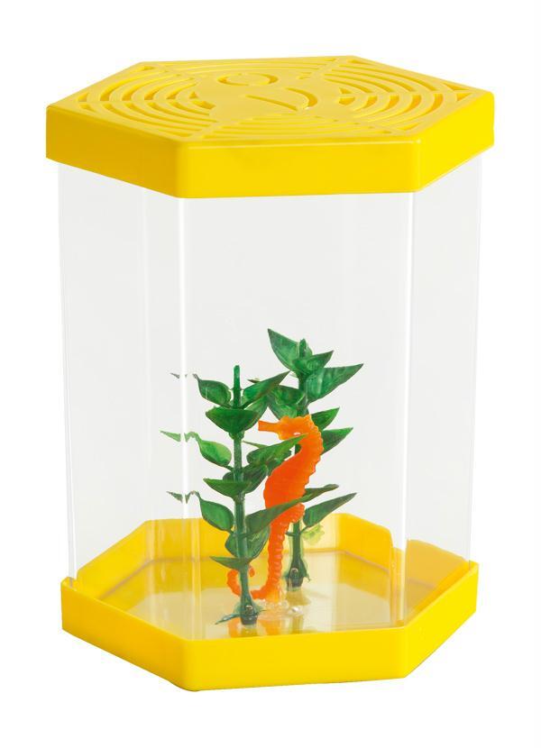 Lar e Lazer - Aquário com Decoração para Peixes Beta