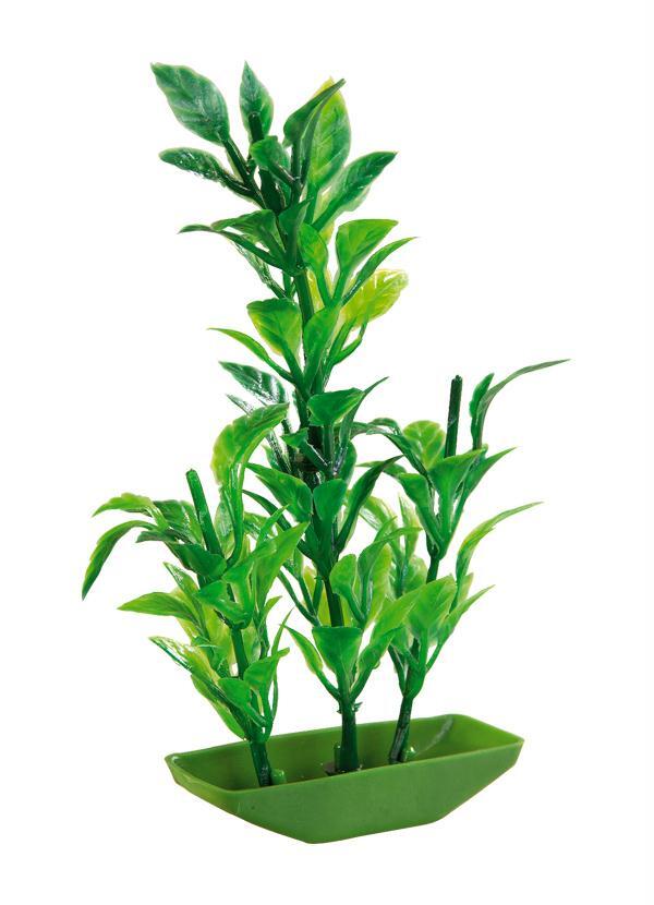 Lar e Lazer - Planta Verde para Aquário