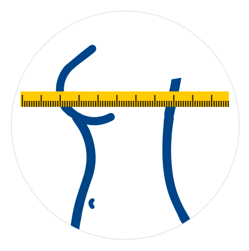 imagem para medir lateral do busto